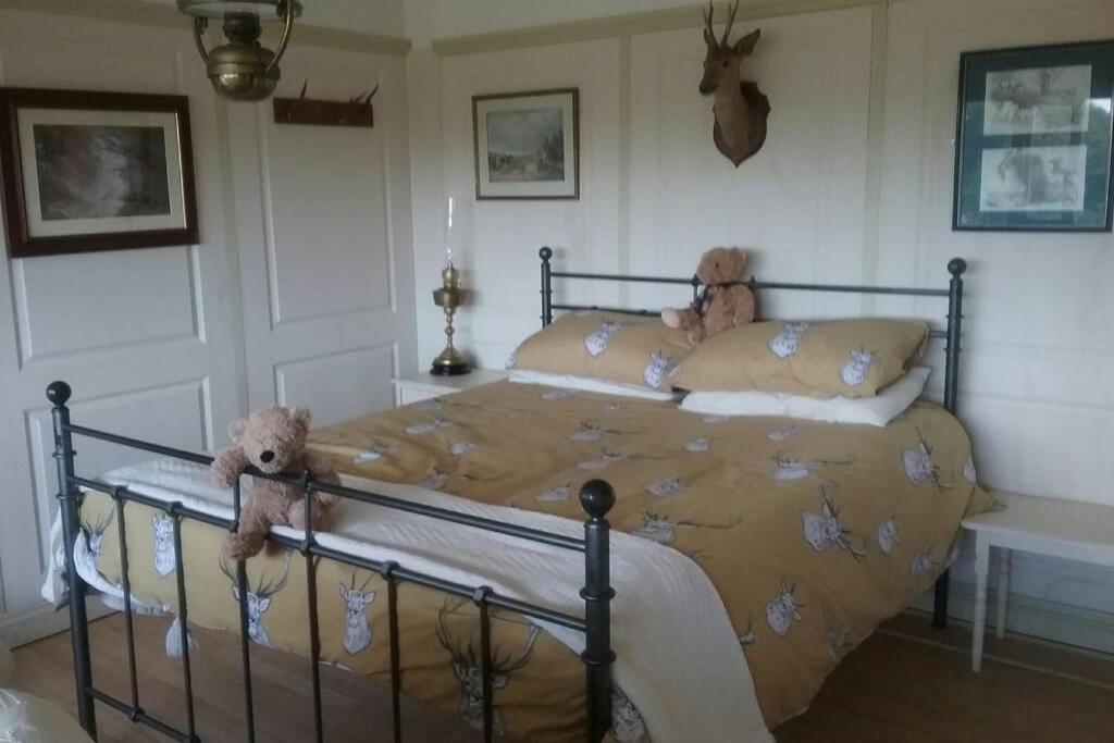 Stags View,Unique Eco Cabin, Dartmoor Views South Brent Dış mekan fotoğraf